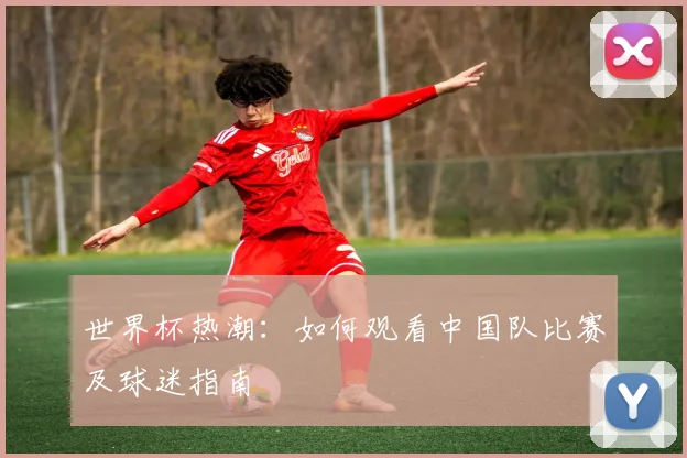 世界杯热潮：如何观看中国队比赛及球迷指南