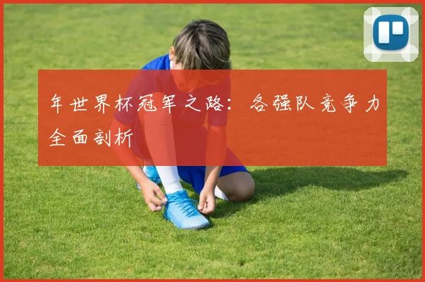 年世界杯冠军之路：各强队竞争力全面剖析